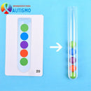 Brinquedo Montessori Concentração Lógica e Treino Motor